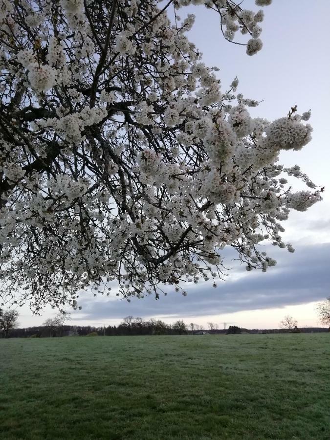 Gite Rural Les Maires D'Avaux Saint-Bresson Экстерьер фото